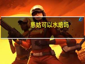 慈姑可以水培吗