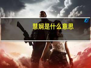 慧娴是什么意思