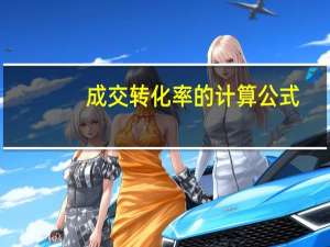 成交转化率的计算公式