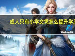 成人只有小学文凭怎么提升学历