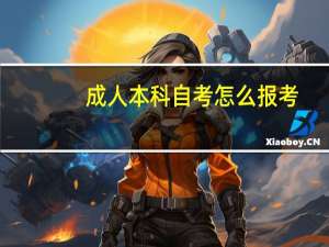 成人本科自考怎么报考