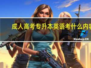 成人高考专升本英语考什么内容