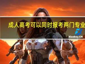 成人高考可以同时报考两门专业么？