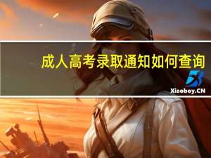成人高考录取通知如何查询