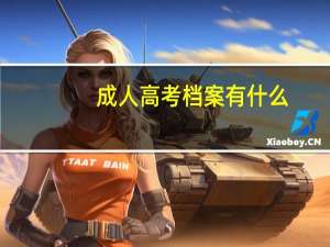成人高考档案有什么