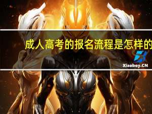 成人高考的报名流程是怎样的？