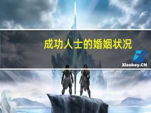 成功人士的婚姻状况