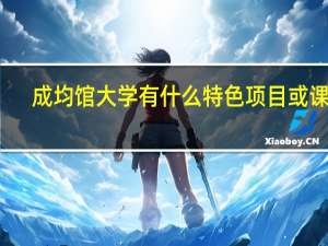 成均馆大学有什么特色项目或课程