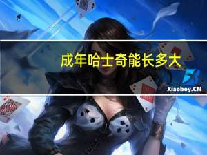 成年哈士奇能长多大