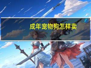 成年宠物狗怎样卖