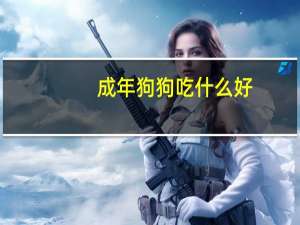 成年狗狗吃什么好