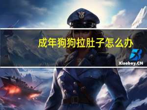 成年狗狗拉肚子怎么办