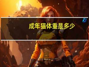 成年猫体重是多少