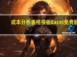 成本分析表格模板 Excel免费版（成本分析表格模板 Excel免费版功能简介）
