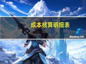 成本核算明细表（成本核算）