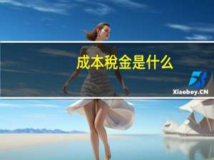 成本稅金是什么