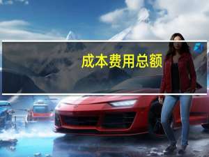 成本费用总额