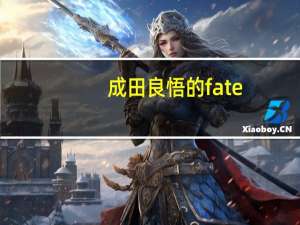 成田良悟的fate（成田良悟）