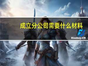 成立分公司需要什么材料