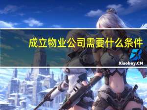 成立物业公司需要什么条件