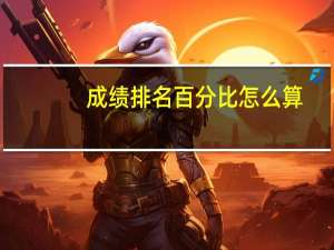 成绩排名百分比怎么算