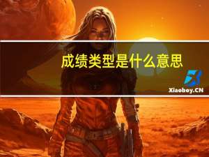 成绩类型是什么意思