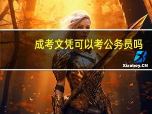 成考文凭可以考公务员吗