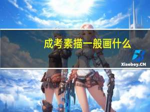 成考素描一般画什么
