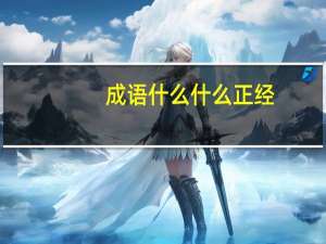 成语什么什么正经