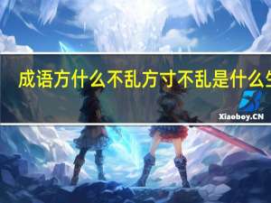 成语方什么不乱 方寸不乱是什么生肖