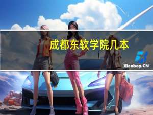 成都东软学院几本？