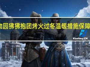成都动物园狒狒抱团烤火过冬 温暖措施保障动物舒适过冬