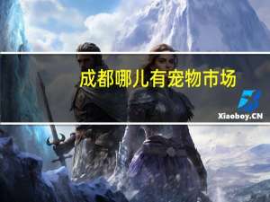 成都哪儿有宠物市场