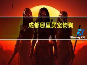 成都哪里买宠物狗