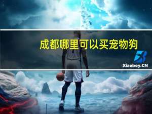 成都哪里可以买宠物狗