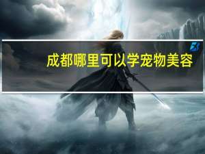 成都哪里可以学宠物美容