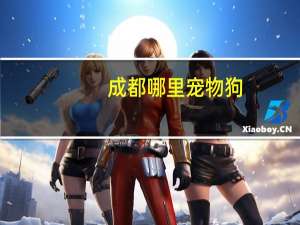 成都哪里宠物狗