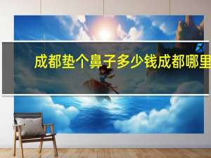 成都垫个鼻子多少钱 成都哪里做鼻子比较好啊