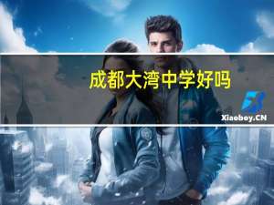 成都大湾中学好吗