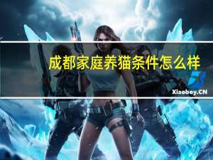 成都家庭养猫条件怎么样