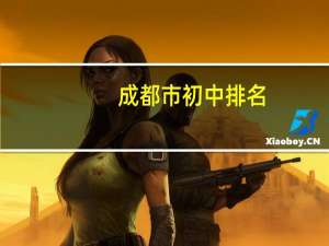 成都市初中排名