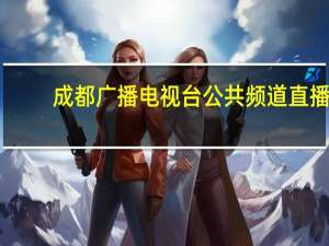 成都广播电视台公共频道直播（邓涛-辽源广播电视台电视公共频道总监简介）