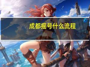 成都摇号什么流程