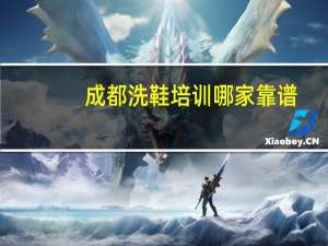 成都洗鞋培训哪家靠谱