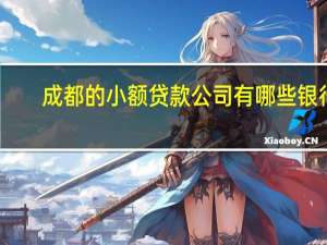 成都的小额贷款公司有哪些银行（成都的小额贷款公司有哪些）