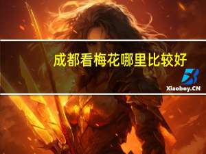 成都看梅花哪里比较好