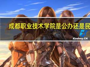 成都职业技术学院是公办还是民办