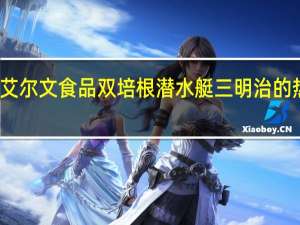 成都艾尔文食品 双培根潜水艇三明治的热量是多少