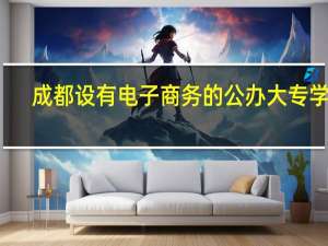 成都设有电子商务的公办大专学校
