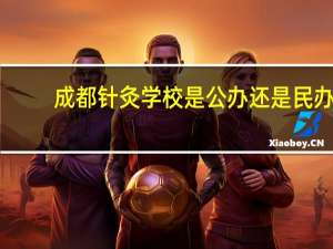 成都针灸学校是公办还是民办